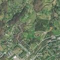 Woman falls and injures neck and leg in Morristown