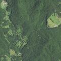 74-year-old woman falls with broken ankle in Millers Creek