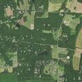 Person with breathing problems near Timberlake