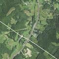 Deer blocking road near US 221 and Gap Creek Drive