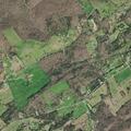 Family dispute over child custody near Hickory Valley Road