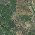 Tree blocks Morgan County Highway in Sunbright