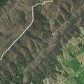 Dog attacking livestock on Gap Creek Road