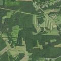 Field burn reported as vegetation fire