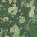 Person having allergic reaction at strawberry springs drive