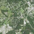 Domestic dispute at Green Forest Drive home