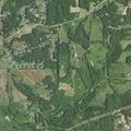 Person reported sick near Griffin Road by Newsome Road