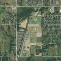 Loose cows in field near Owasso sports complex