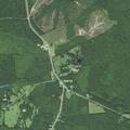 Cow reported on property near highway address