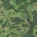 Patient falls at campground with head injury