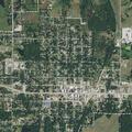 Loose dog reported at Collinsville city park