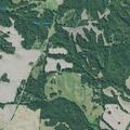 Elderly man found unresponsive near Williams Road in Hornbeak