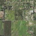 Person hiding in tree near County Road 44