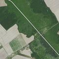 Elderly man riding vehicle checked in swampy area