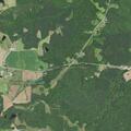 Tree down near US Highway 158 East