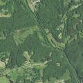 Possible cardiac arrest near Boggy Creek Lane