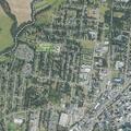 Welfare check near Church Street for person's safety