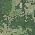 Woman feels faint with headache and vomiting in Yanceyville