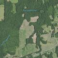 Person with abdominal pain near Hodges Dairy Road