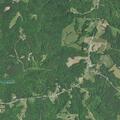 Debris reported in roadway on Dodgetown Road