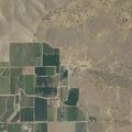 Report of suspicious person near orange grove