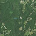 Loose pigs reported near Piedmont Springs Road