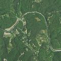 Officers search for loose pigs near Highway 8