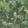 Suspected allergic reaction at Ashe County park