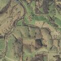 78-year-old male falls near Green Forest