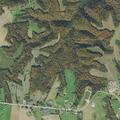 83-year-old female falls from wheelchair and is unresponsive