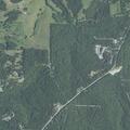 Adult male sick case near Crystal Oak Trail