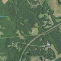 Car leaves road after deer, driver injured