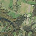 Loose calf reported near Carthage Road