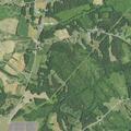 Tree cleared from Highway 62 near Argy White
