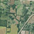 Woman with possible broken ankle at Section Line Road