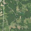 Tree blocking roadway on Ring Road in Stokes County