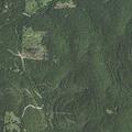 Suicidal male reported near Marion County Road 143