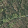 Unconscious person found near Pressmens Home Road in Rogersville