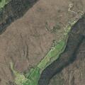 Loose cow and calf reported on Snake Hollow Road