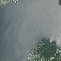 Man falls 15 feet onto dock, breathing but unresponsive