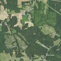 Patient with diabetic issues at NC Highway 119 North