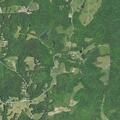 Driver record check on Cold River Run Road