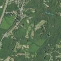 Person suffers allergic reaction near Meadowlark Drive
