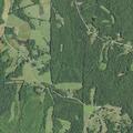 Person reported sick near Bark Road in Rockingham County