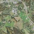 Teen causing disturbance at Red Boiling Springs home