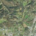 Single-vehicle crash on Grave Hill Road