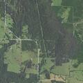 Woman aged 55 with severe abdominal pain at State Hwy 39