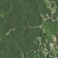 Report of fraud involving Apple credit card