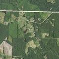 Female involved in vehicle crash with deer seeks help