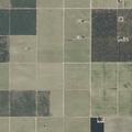 Grass fire with reports of two houses burning and juveniles possibly inside
